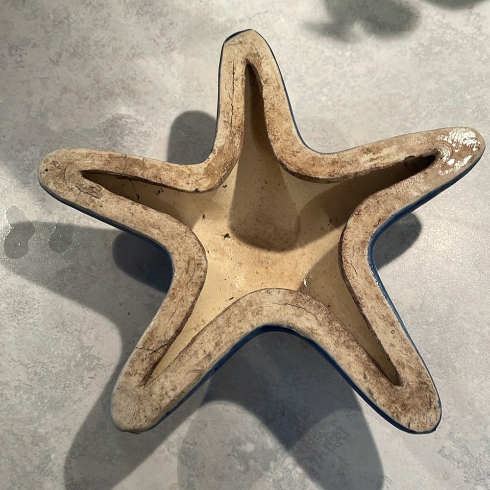 Blue Ceramic Starfish - Picture 3 of 5